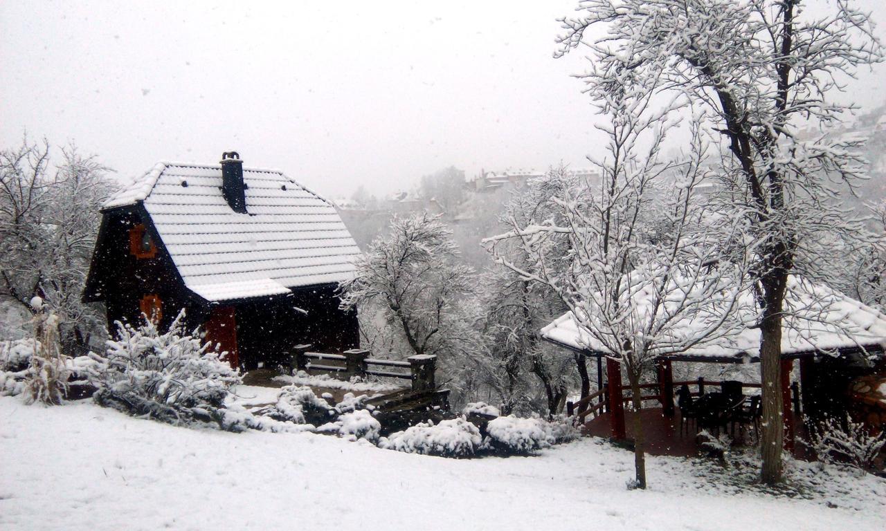 Vacation Home Nana Mokra Gora Esterno foto